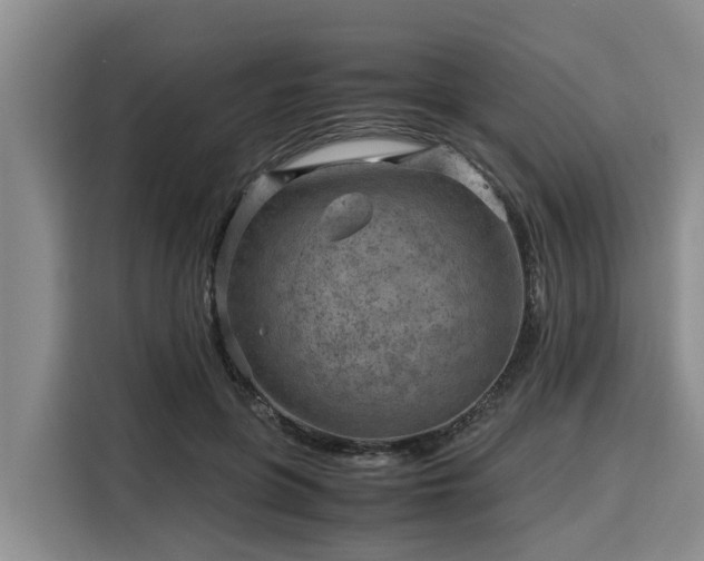 X0000116060551200911271245