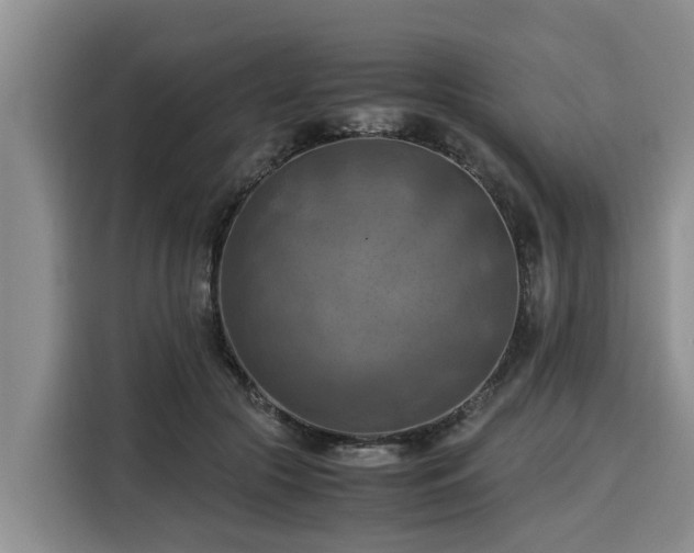 X0000116060553200911271245