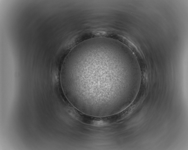 X0000116060561200911271245