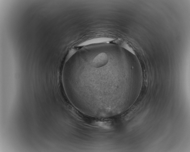 X0000116060563200911271245