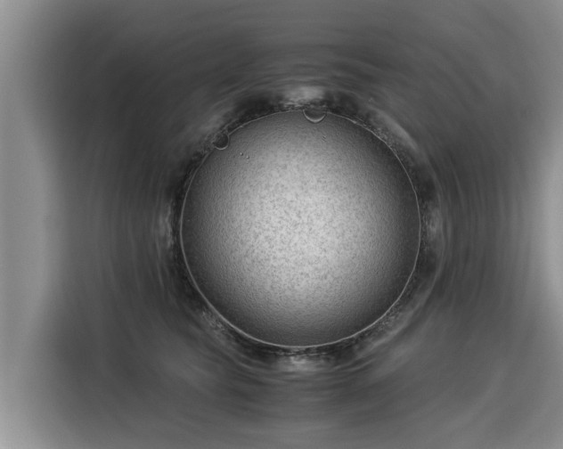 X0000116060565200911271245