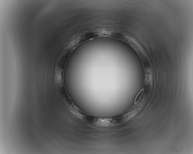 X0000116060573200911271245