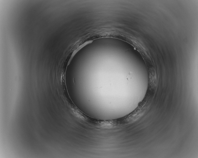 X0000116060574200911271245