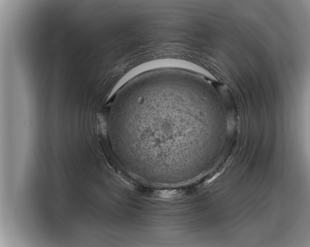 X0000116060575200911271245