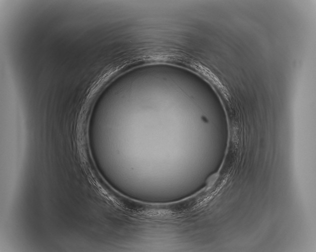 X0000116060577200911271244
