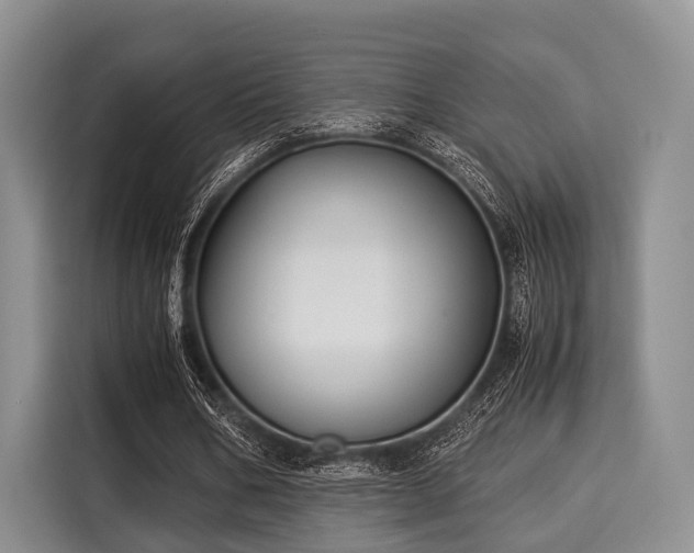 X0000116060578200911271244