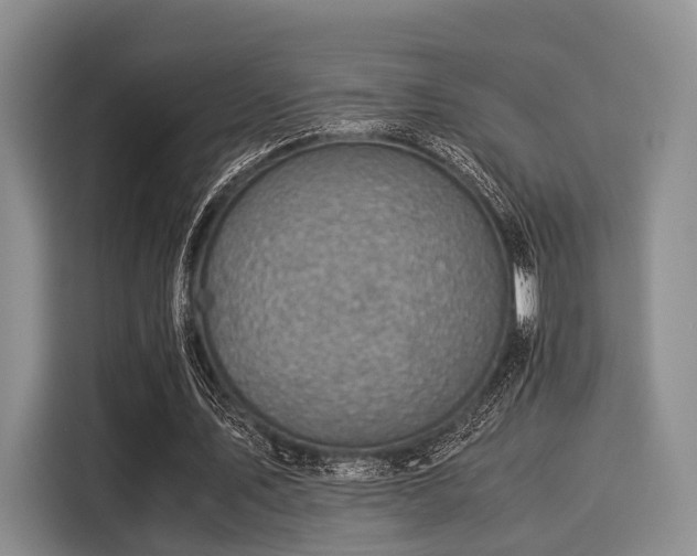 X0000116060579200911271244