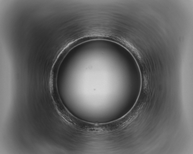 X0000116060580200911271244