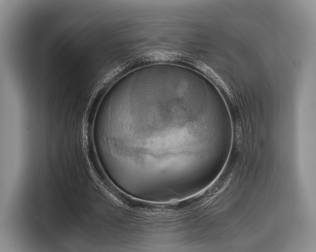X0000116060581200911271244