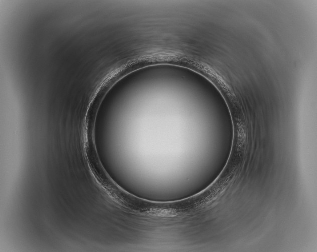 X0000116060582200911271244