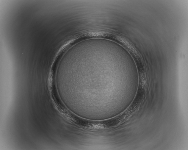 X0000116060583200911271244
