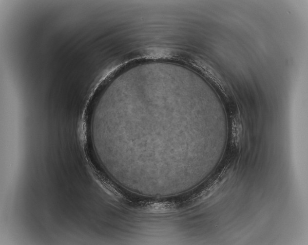 X0000116060584200911271244