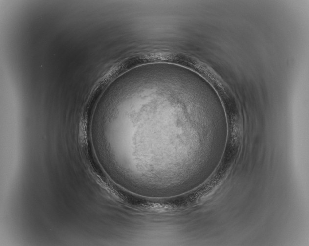 X0000116060585200911271244