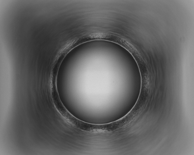 X0000116060586200911271244