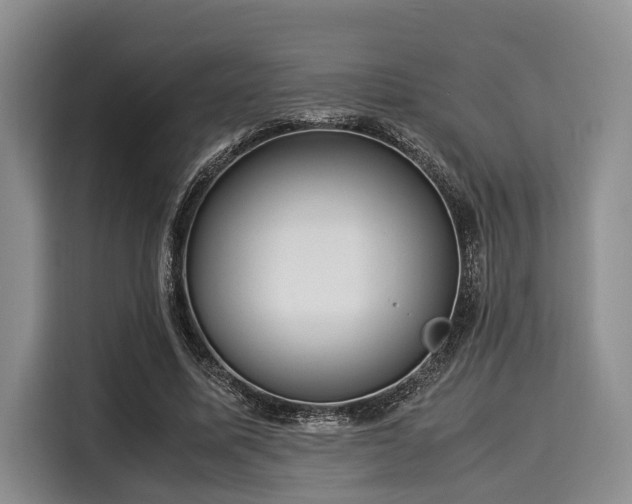 X0000116060587200911271244