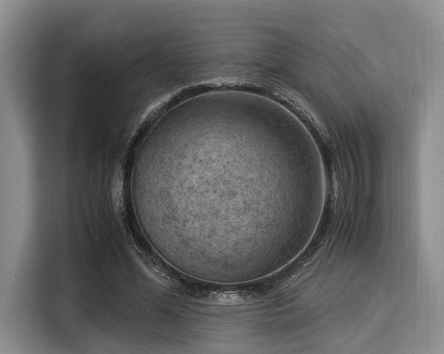 X0000116060588200911271244