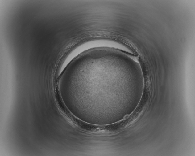 X0000116060589200911271244