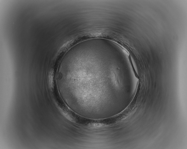 X0000116060590200911271244