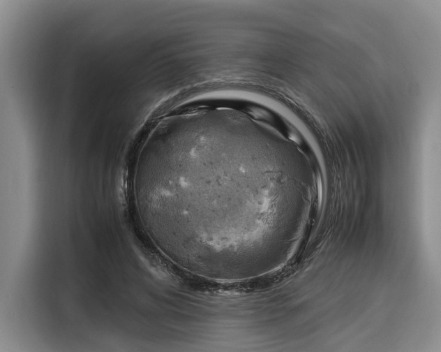 X0000116060592200911271244