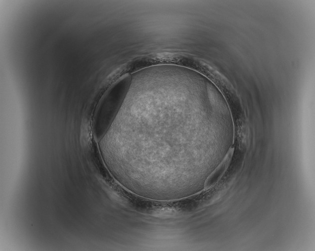X0000116060593200911271244