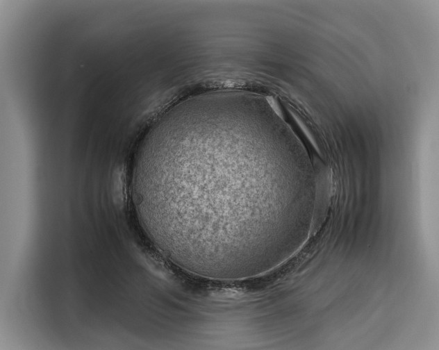 X0000116060594200911271244