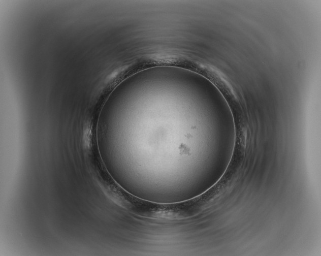 X0000116060596200911271244