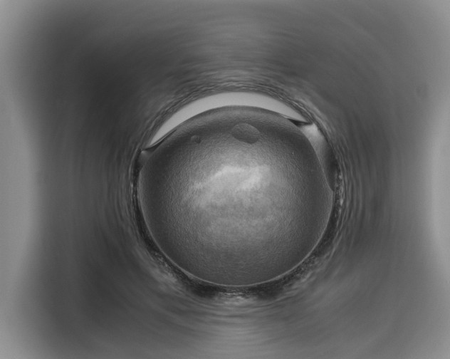X0000116060597200911271244