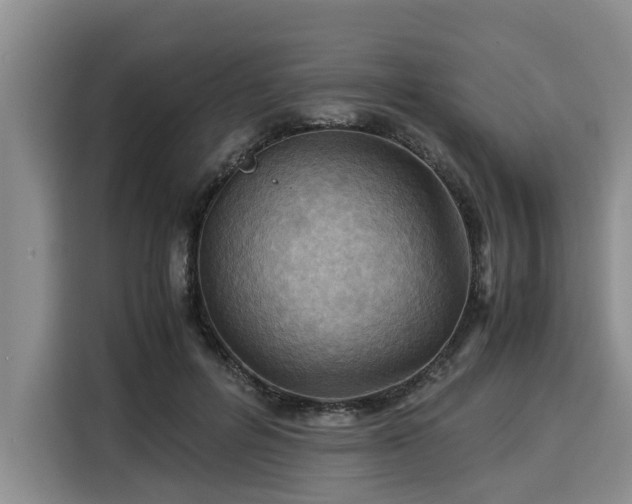 X0000116060600200911271244