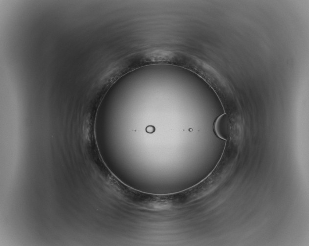 X0000116060604200911271244