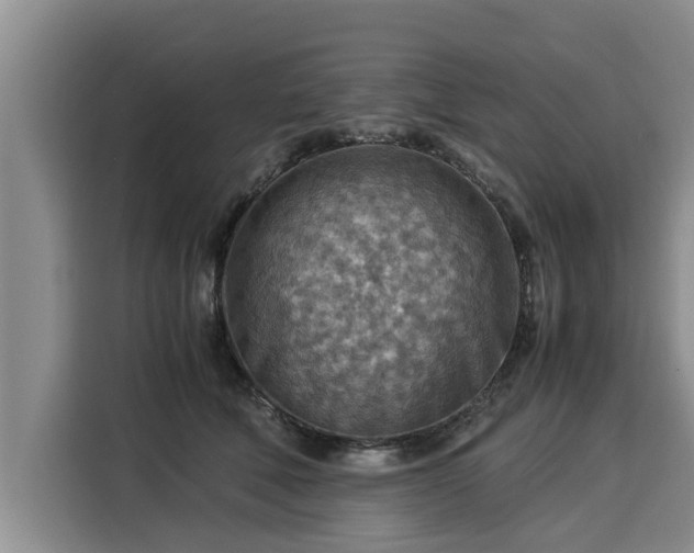 X0000116060610200911271244