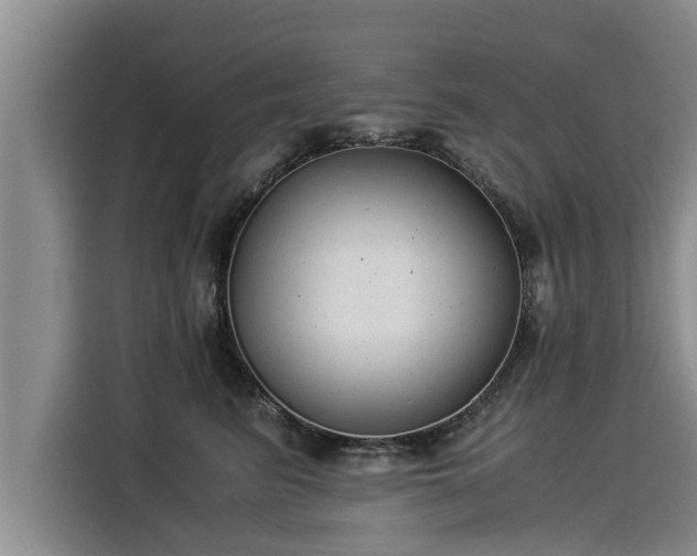 X0000116060615200911271244