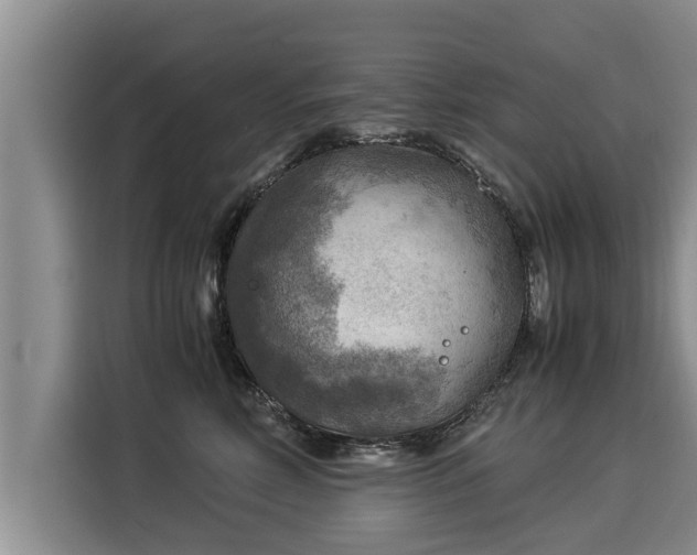 X0000116060618200911271244