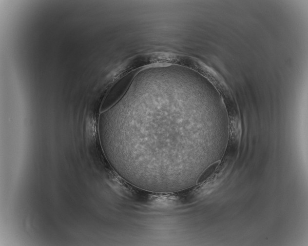 X0000116060621200911271244