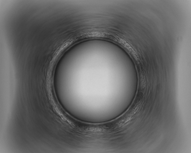 X0000116060625200911271243