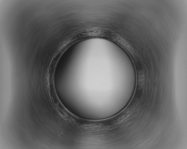 X0000116060626200911271243
