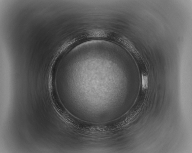 X0000116060627200911271243