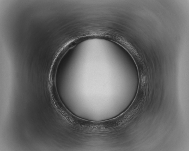 X0000116060628200911271243