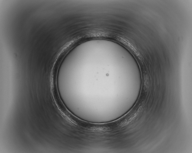 X0000116060629200911271243