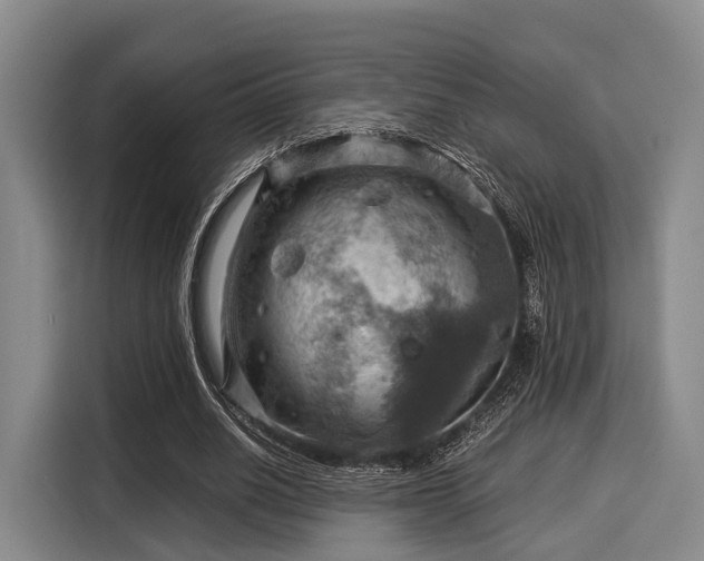 X0000116060630200911271243
