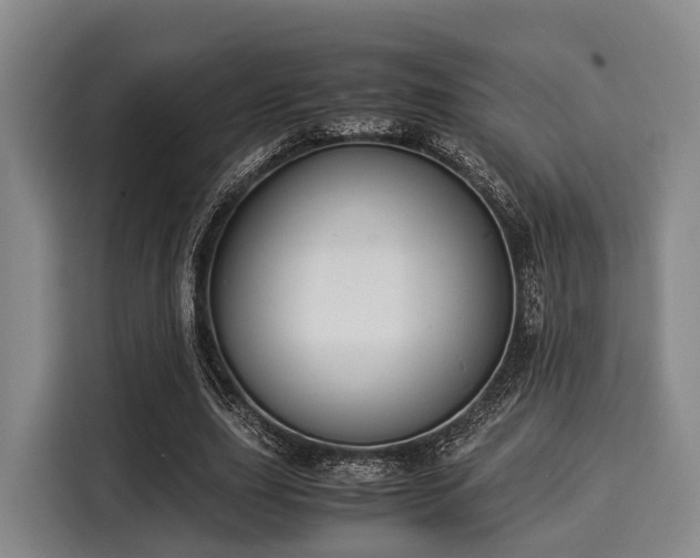 X0000116060631200911271243