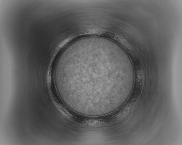 X0000116060632200911271243
