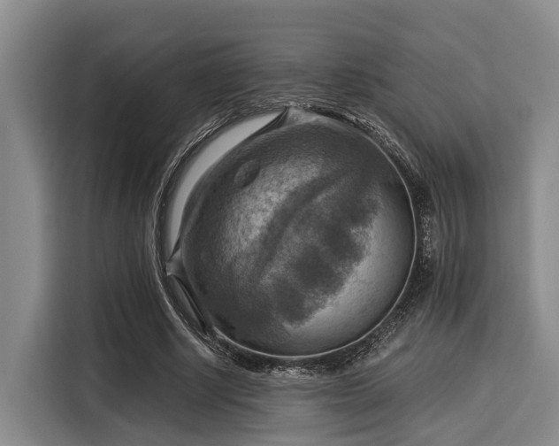 X0000116060634200911271243