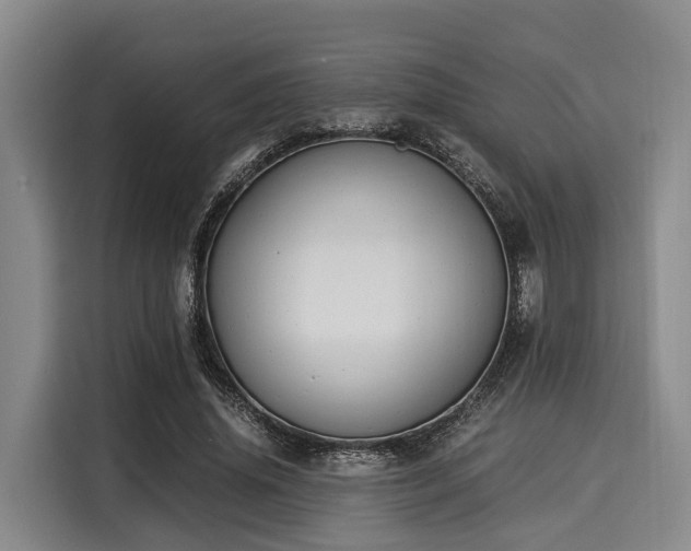 X0000116060636200911271243