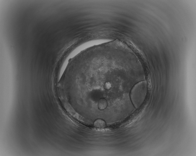 X0000116060637200911271243