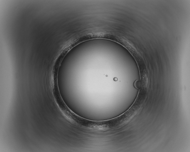 X0000116060638200911271243
