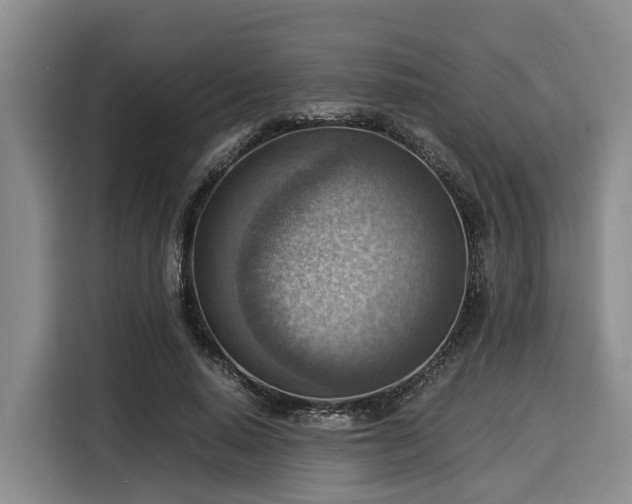 X0000116060640200911271243