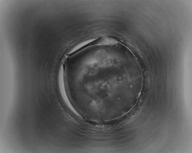 X0000116060641200911271243