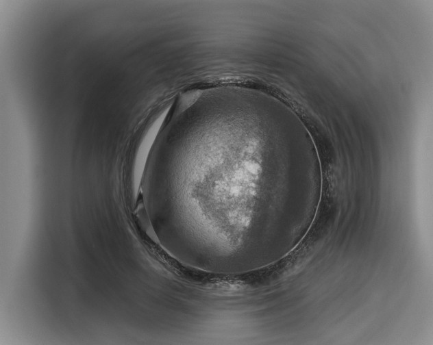 X0000116060642200911271243
