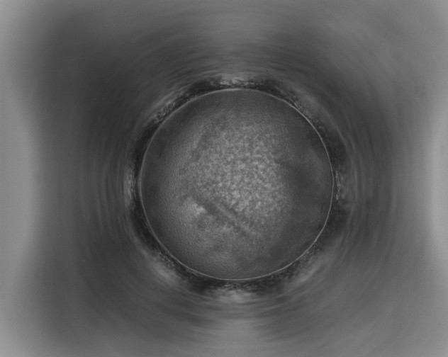 X0000116060648200911271243