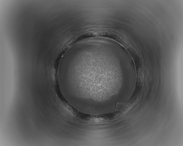 X0000116060650200911271243